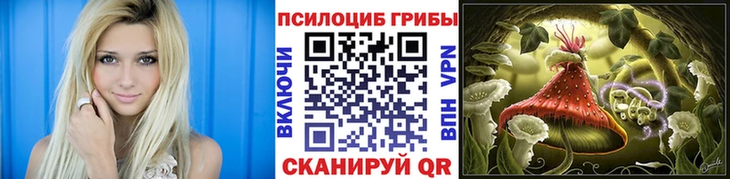 Псилоцибиновые грибы Psilocybine cubensis  наркошоп  кракен онион  Судак 